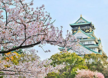 欧冠决赛倒计时，阿森纳用9场零封筑墙，巴黎44颗炮弹已上膛